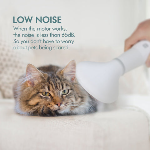 Pet Hair Dryer Slicker Brush